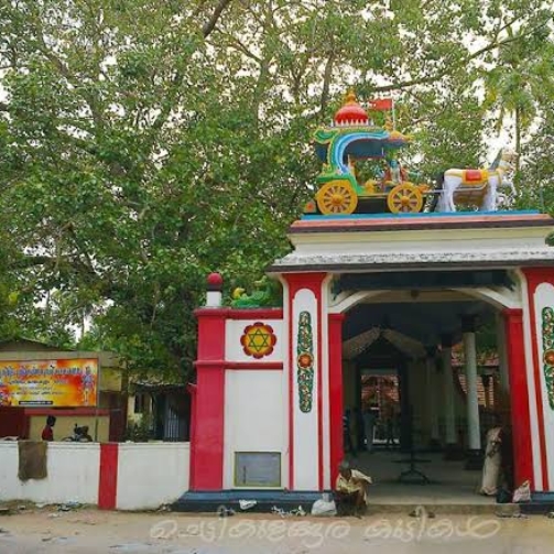 images - 2026-01-01T041617.665