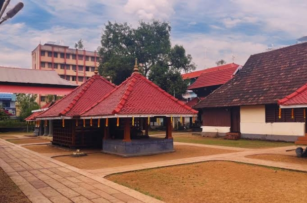 images - 2026-01-01T043652.459