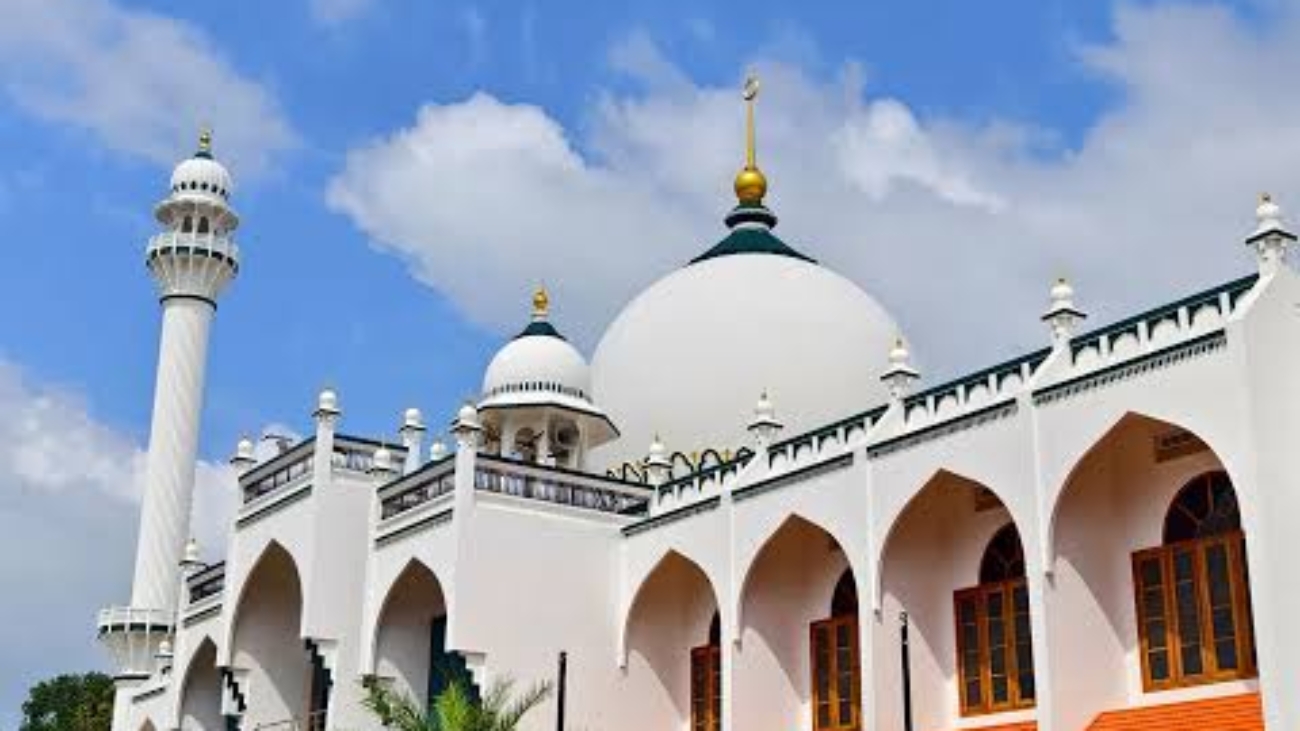 images - 2026-01-01T094846.208