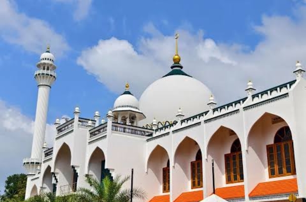 images - 2026-01-01T094846.208