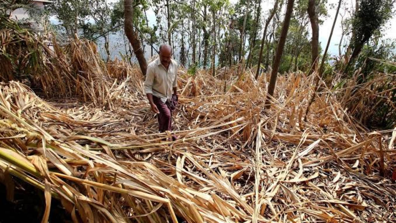 images - 2026-01-01T193609.577