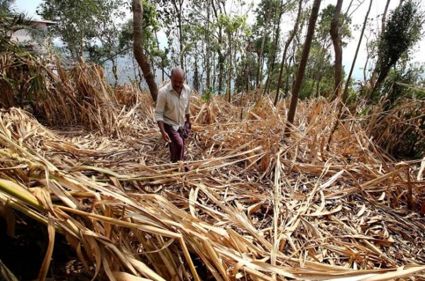 images - 2026-01-01T193609.577