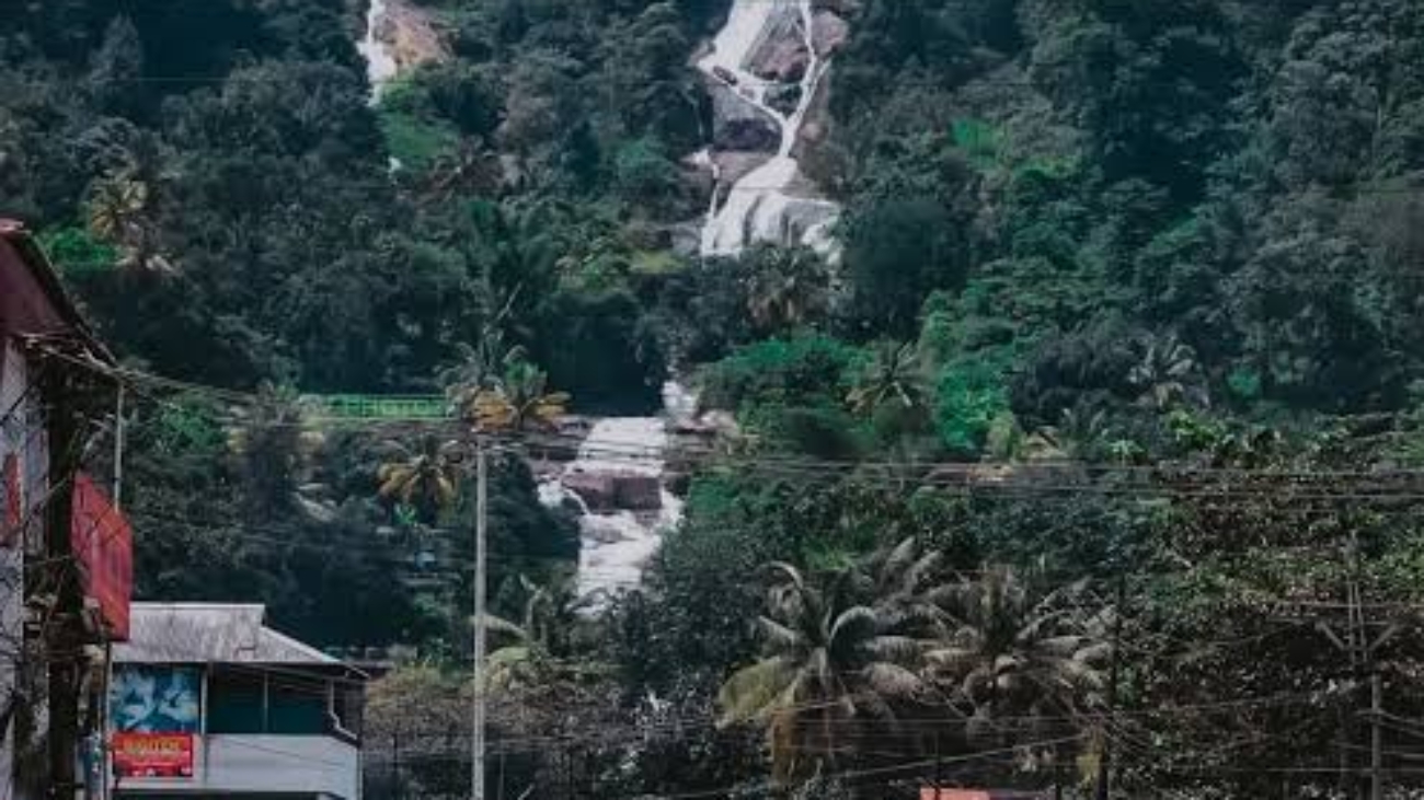 images - 2026-01-01T194118.162