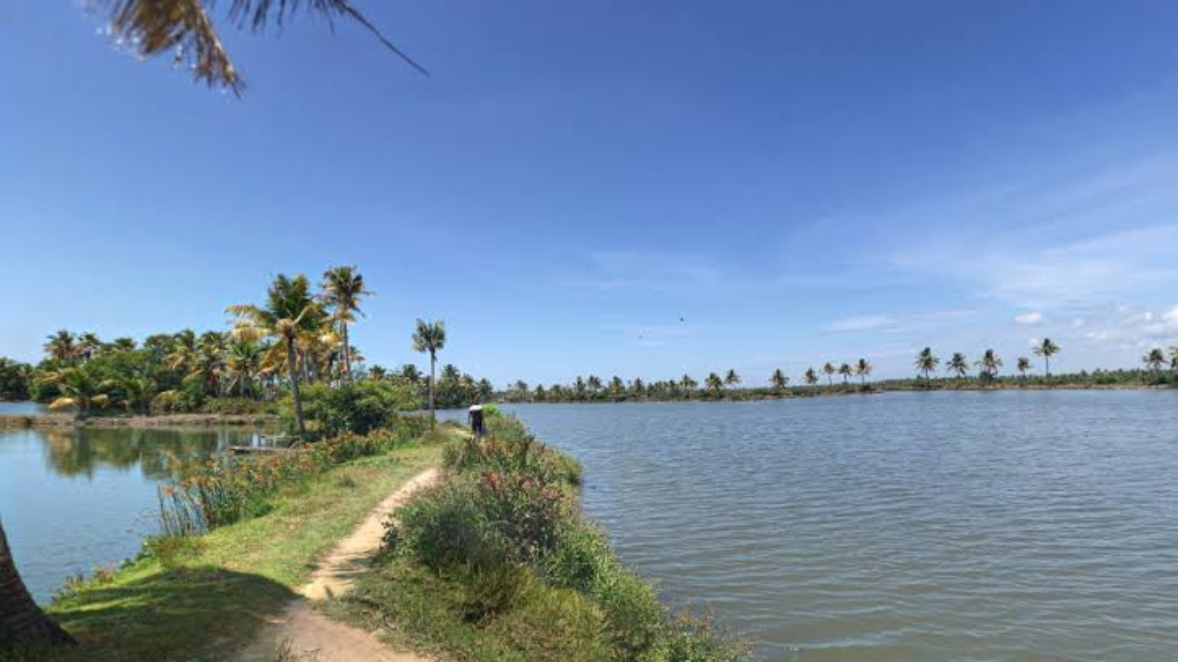 images - 2026-01-01T202034.333