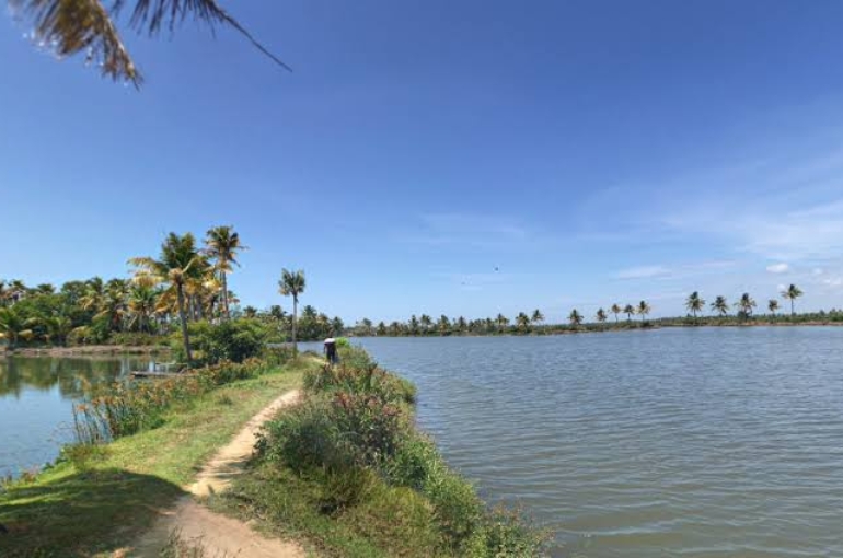 images - 2026-01-01T202034.333