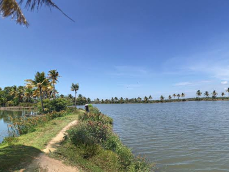 images - 2026-01-01T202034.333