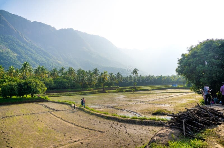 kollengode-small-hamlet-palakkad-district-kerala-known-its-picturesque-landscape-which-dominated-lush-green-345497772