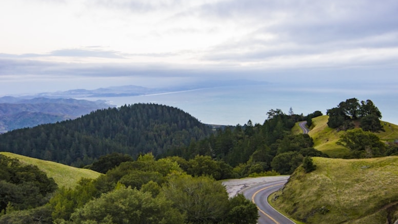 photo-1496942424442-a019cdf47341