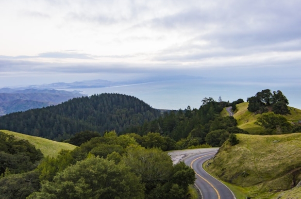 photo-1496942424442-a019cdf47341