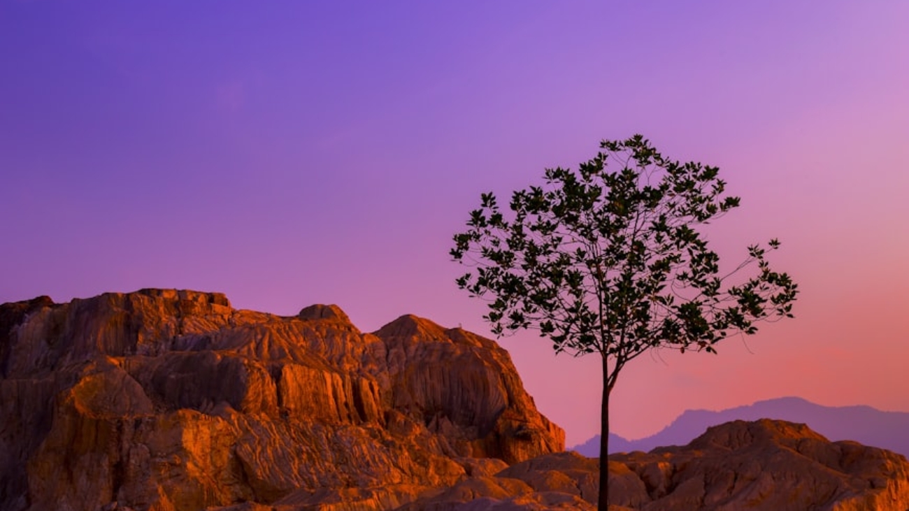 photo-1505322715123-90e9aa1e2d86