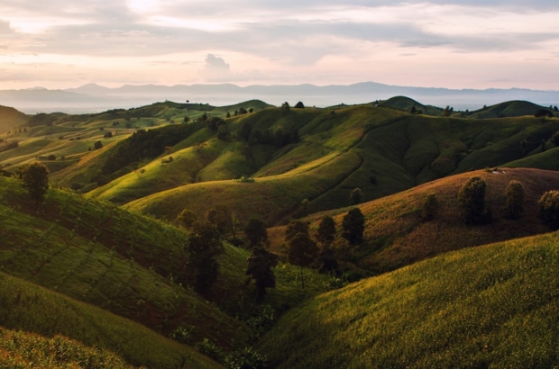 photo-1507720708252-1ddeb1dbff34