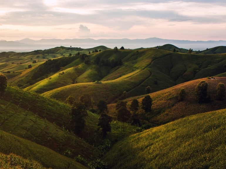 photo-1507720708252-1ddeb1dbff34