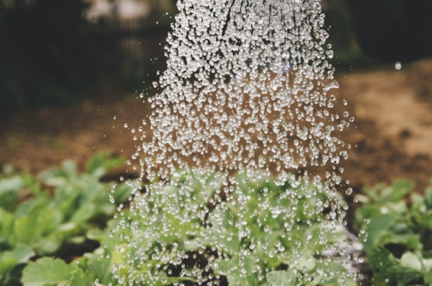 photo-1515150144380-bca9f1650ed9