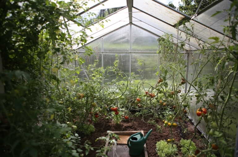 photo-1516253593875-bd7ba052fbc5