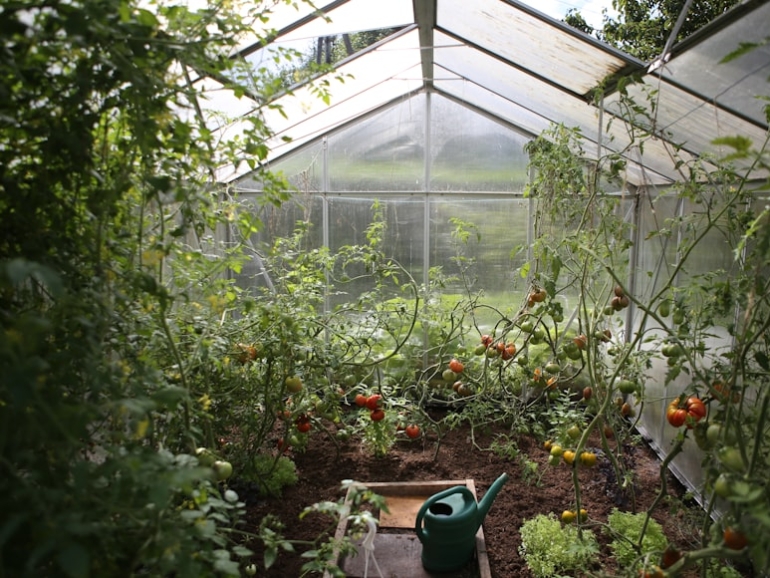 photo-1516253593875-bd7ba052fbc5