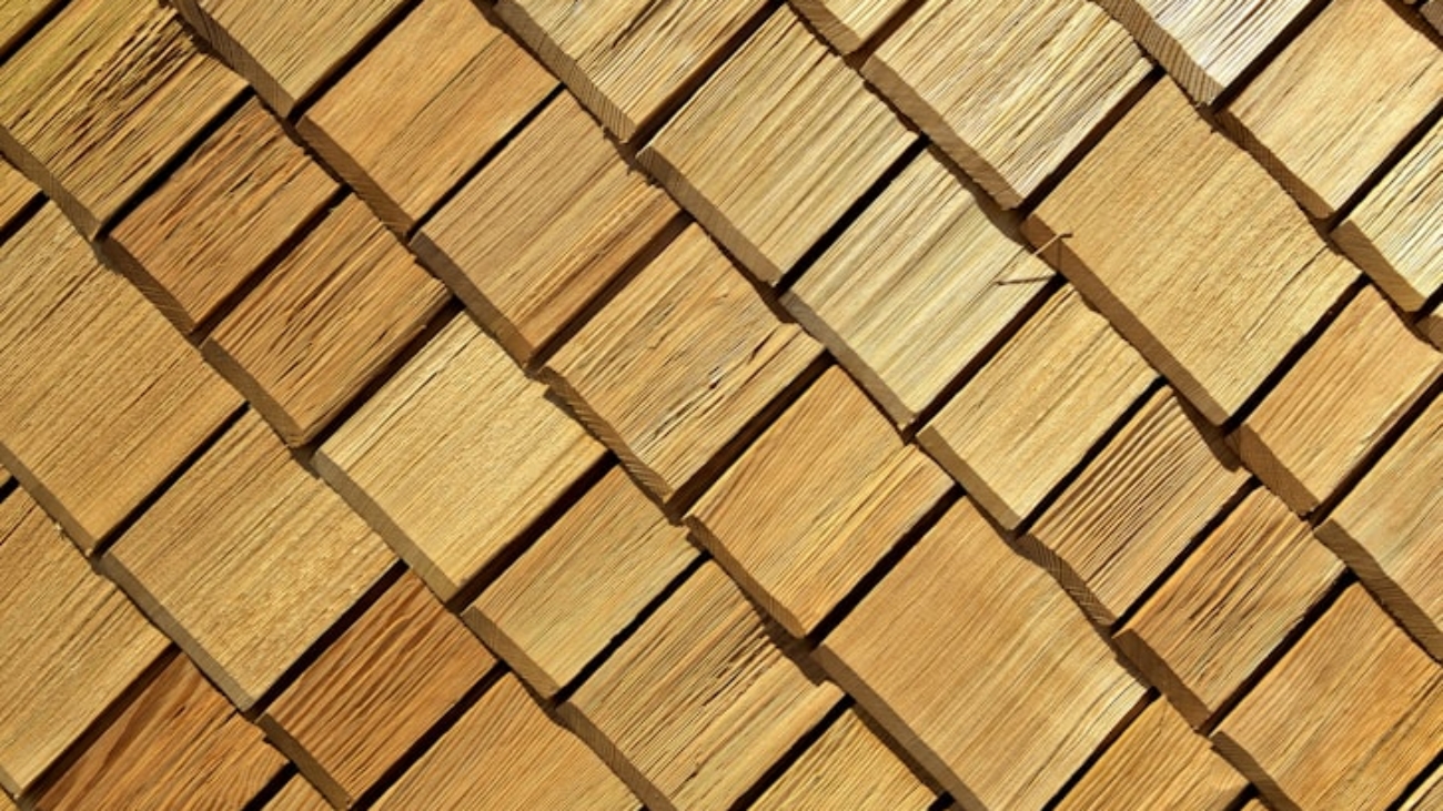 photo-1518592736484-8ba84b34187b