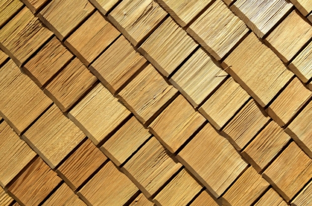 photo-1518592736484-8ba84b34187b