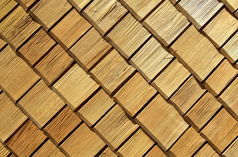 photo-1518592736484-8ba84b34187b