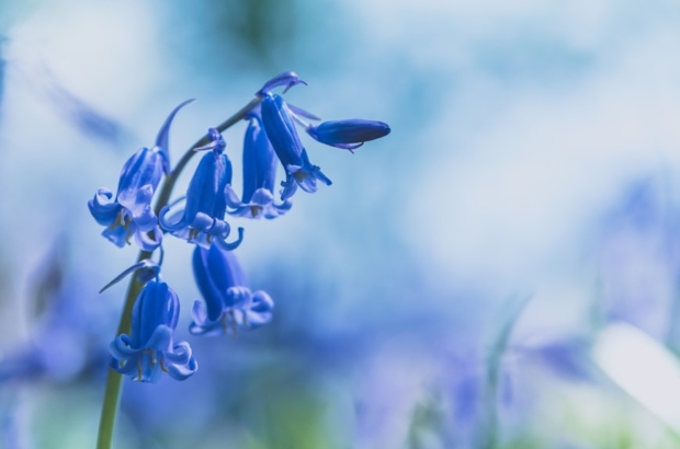 photo-1524316607912-93c3468d9d28