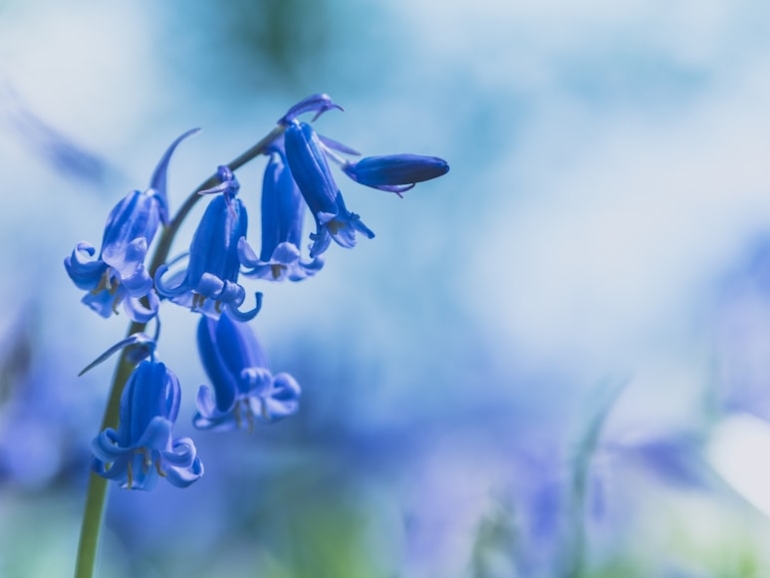 photo-1524316607912-93c3468d9d28