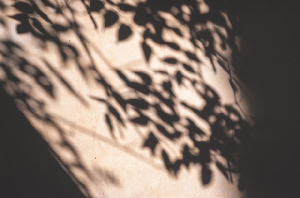 photo-1526235591527-15084c256bad