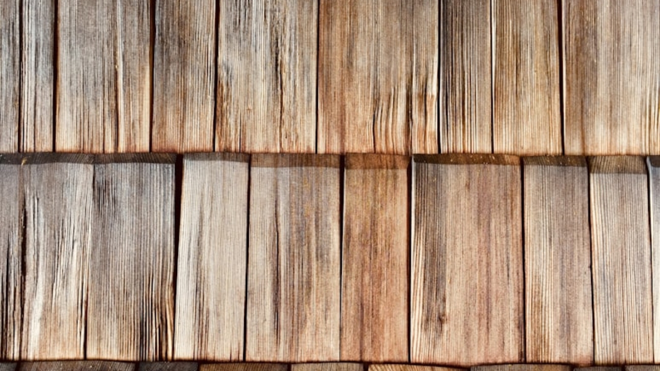 photo-1538904133649-12b1faf69966