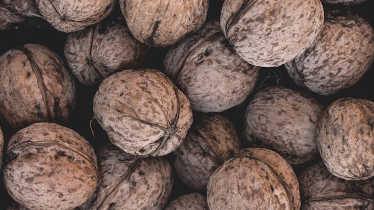 photo-1539280125207-6ded13f71ac4