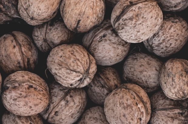 photo-1539280125207-6ded13f71ac4