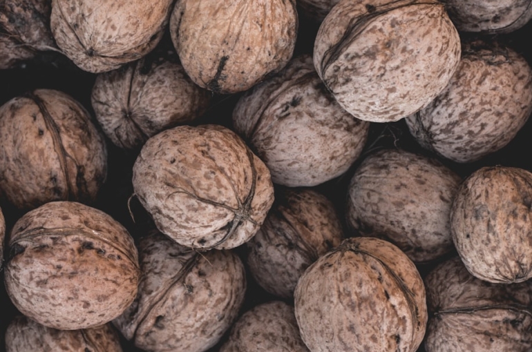 photo-1539280125207-6ded13f71ac4