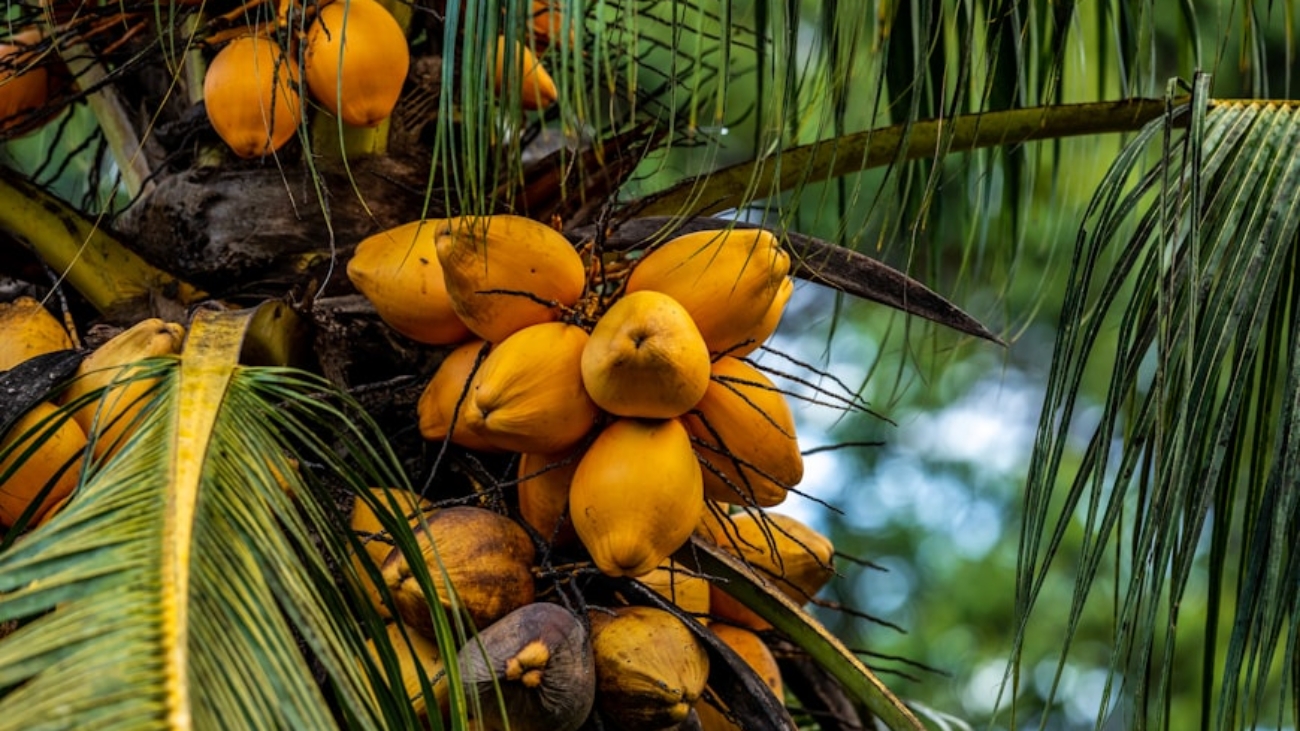 photo-1552728213-d7a5eba76140