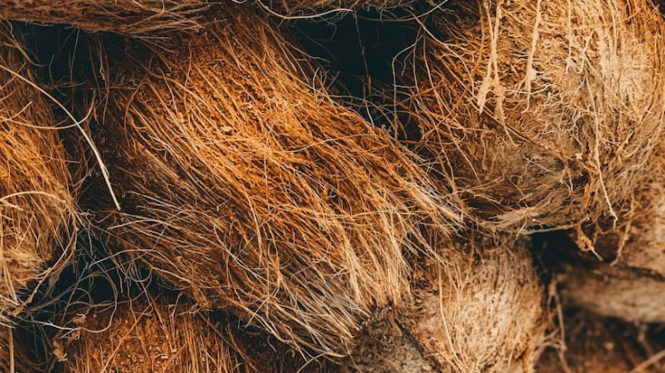 photo-1553787434-dd9eb4ea4d0b