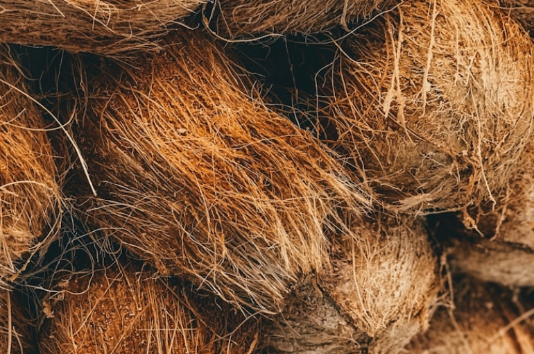 photo-1553787434-dd9eb4ea4d0b