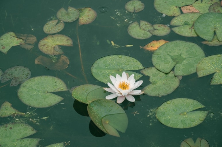 photo-1558438102-64c19e995a44