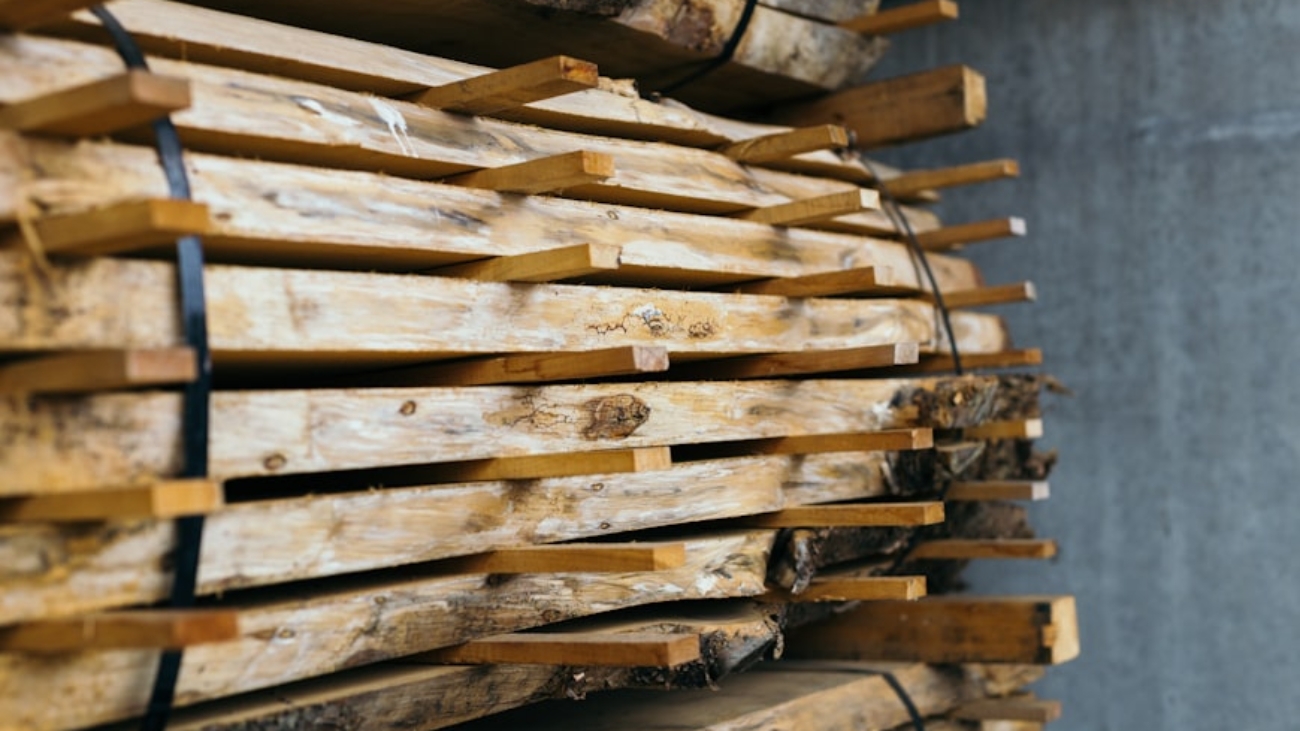 photo-1561435351-c668934d89de