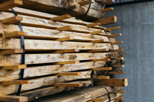 photo-1561435351-c668934d89de