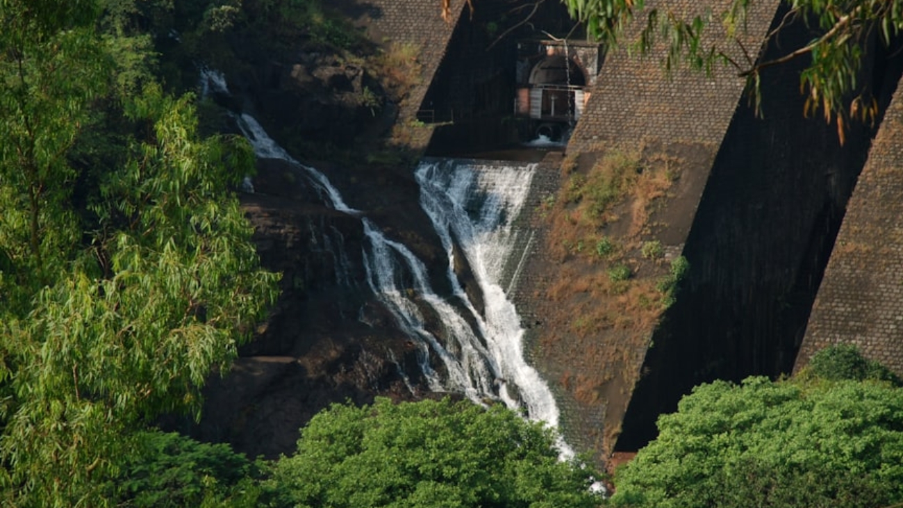 photo-1568635186846-ca554bc4f329