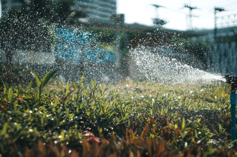 photo-1580733101505-0950b0d24a73