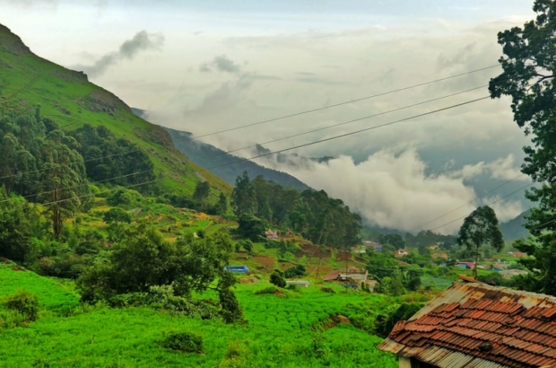 photo-1580979222901-12a0e56abf7d