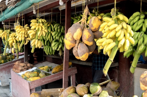 photo-1582617483762-20f965c91338