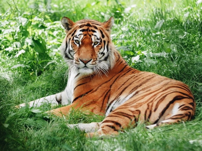 photo-1584005609990-ed70b16bda99