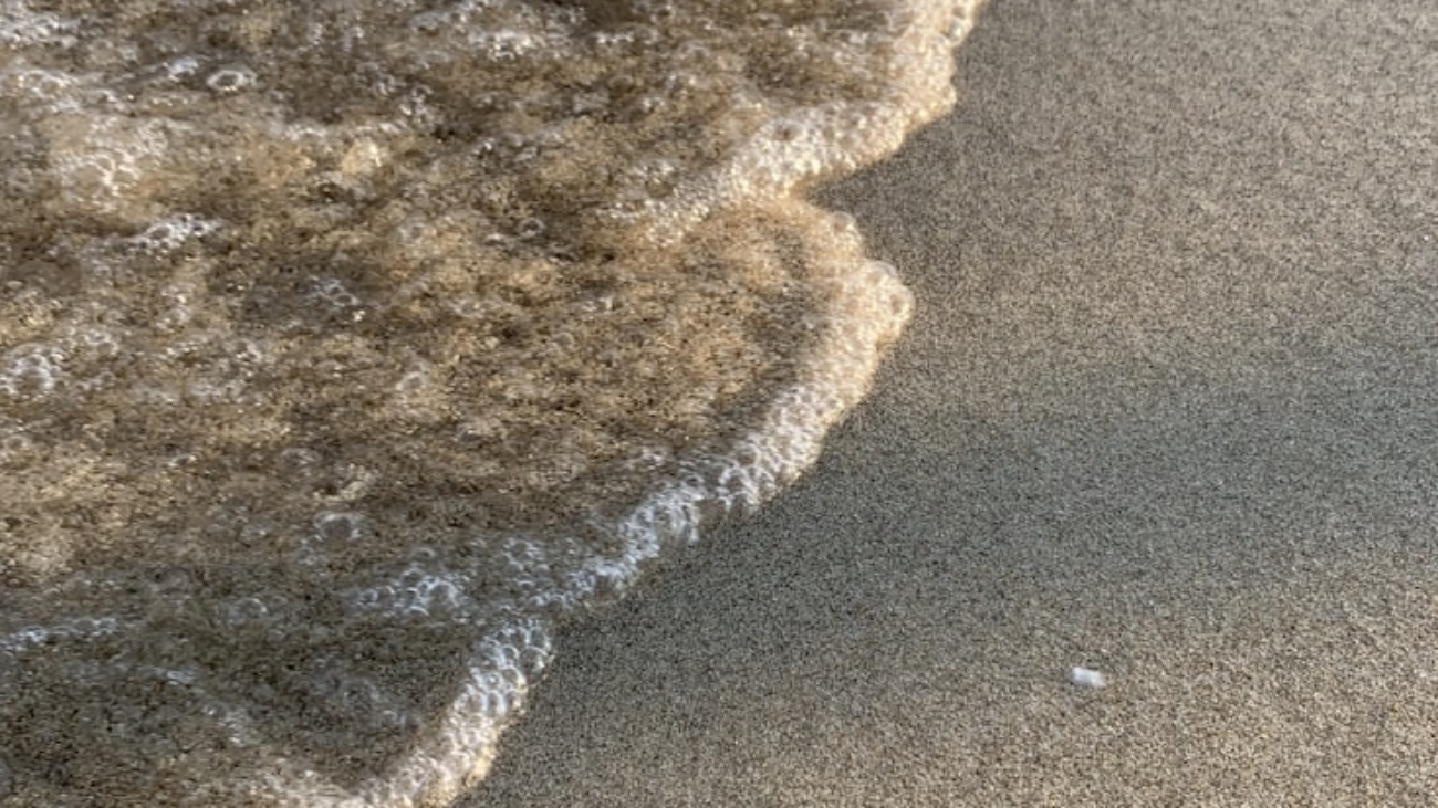 photo-1584606331627-175ef13a049f