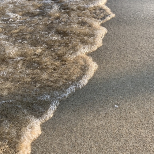 photo-1584606331627-175ef13a049f