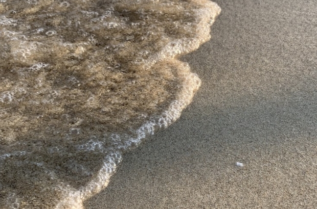 photo-1584606331627-175ef13a049f