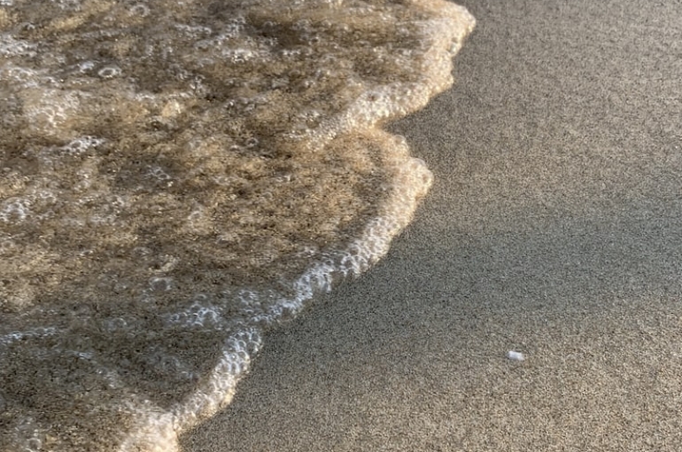 photo-1584606331627-175ef13a049f