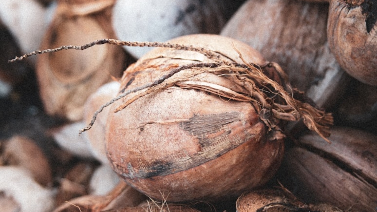 photo-1585553500215-8888e867e34f