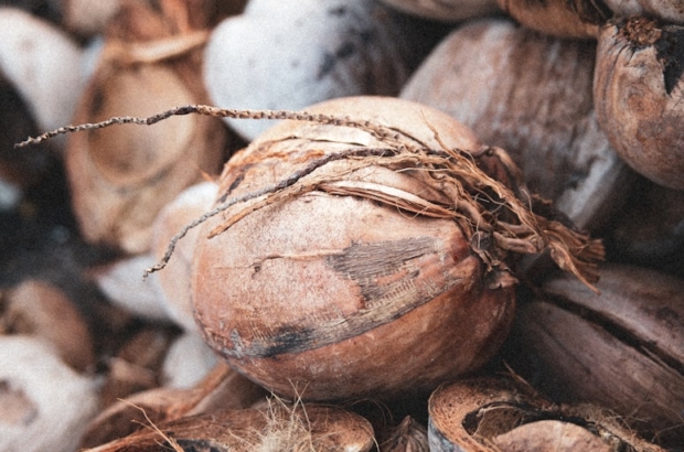 photo-1585553500215-8888e867e34f