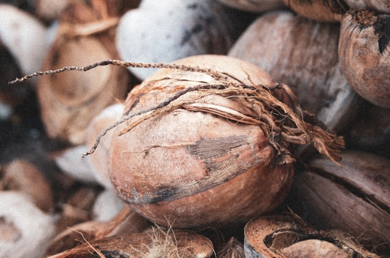 photo-1585553500215-8888e867e34f