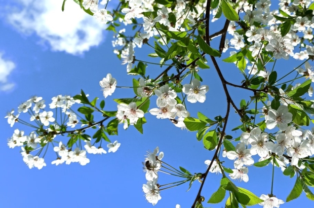 photo-1586952205040-22514ffab1a1