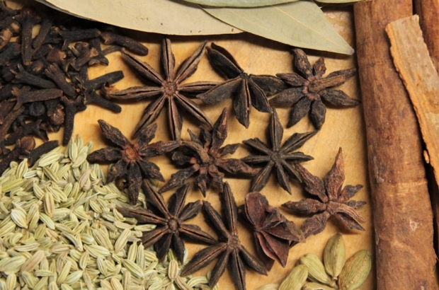 photo-1589536677029-c0aa1808fba6