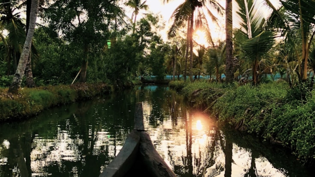 photo-1590050752117-238cb0fb12b1